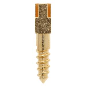 Posts Gold Plated Short 12/Bx