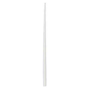 Absorbent Points Extra Fine Feathered 200/Bx