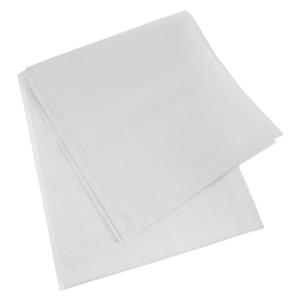 Equipment Drape Sheet Embossed 30 in x 48 in Non Sterile 100/Ca
