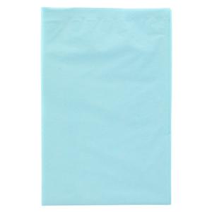 Choice FABRICEL Pillowcase 21 in x 30 in Tissue / Poly Blue Disposable 100/Ca