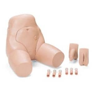 Portable Catheterization & Enema Task Trainer Male/Female Portabl...