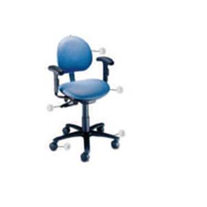 Millenium Series Task Chair Aluminum With Backrest Each
