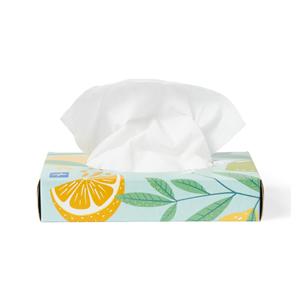 GreenSmart Facial Tissue White 2 Ply Standard Flat Box 200/Case