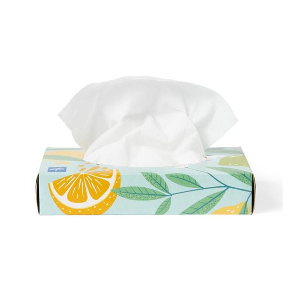 GreenSmart Facial Tissue White 2 Ply Standard Flat Box 200/Case