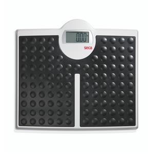 Model 813 Floor Scale 440lb Capacity Digital Each