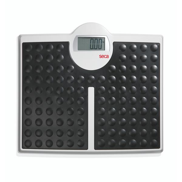 Model 813 Floor Scale 440lb Capacity Digital Each