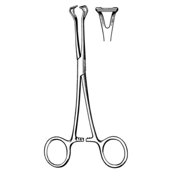 Babcock Grasping Forcep 6-1/4" Each