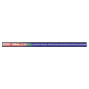 Needle Chiba 22gx10" Spinal Plastic Sterile Disposable Ea
