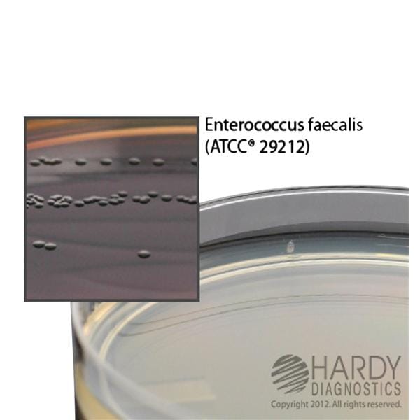 Bile Esculin Agar Culture Plate Solid Volume 10/Package