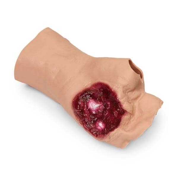 Training Moulage Ea