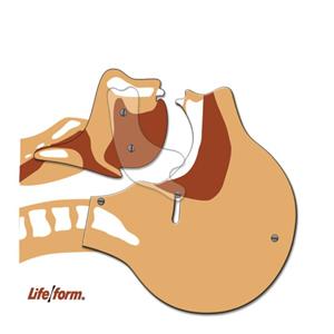 Life/form Board Adult Simulator Ea