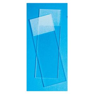 Fisherbrand Frosted Microscope Slide 3x1" White 144/Pk