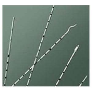 Catheter Urethral Open Tip Polyurethane 4Fr 70cm Ureteral With Ad...