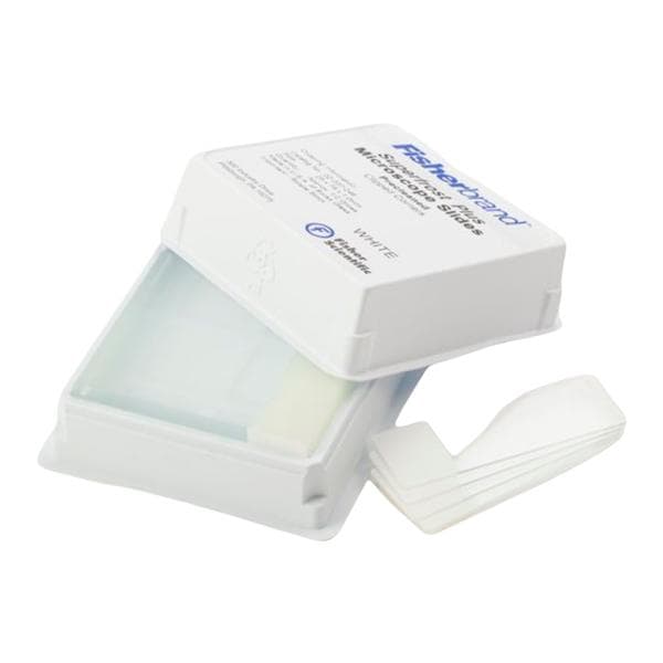 SuperFrost Plus Frosted Microscope Slide 3x1" White 144/Bx