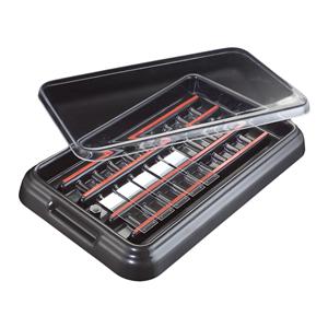 StainTray Slide Staining System ABS Plastic 38x24x4.5cm Rectangul...