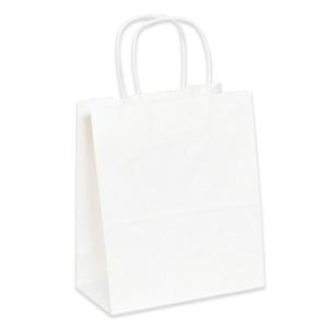 White Paper Shopping Bags 9 3/4 in x 7 3/4 in x 4 3/4 in 250/Pack 250/Pk