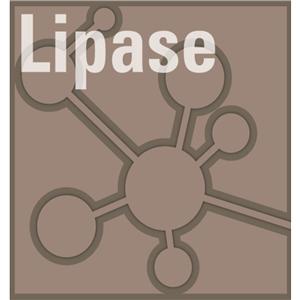 Lipase Test Kit R:5x30mL/S:1x200mL/A:1x250mL/Cal:2x3mL 1/kt