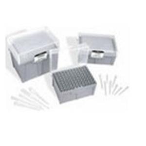Pipette Tip 20uL Non-Sterile Disposable 1000/Case