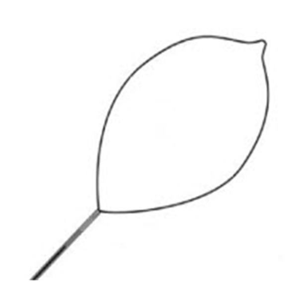 Singular Polypectomy Snare Oval Large 32mm Firm Loop Wire Sterile...