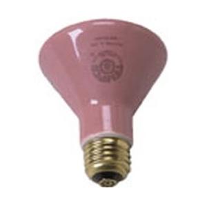 Bulb Ceramic Generator 250W Ea Each