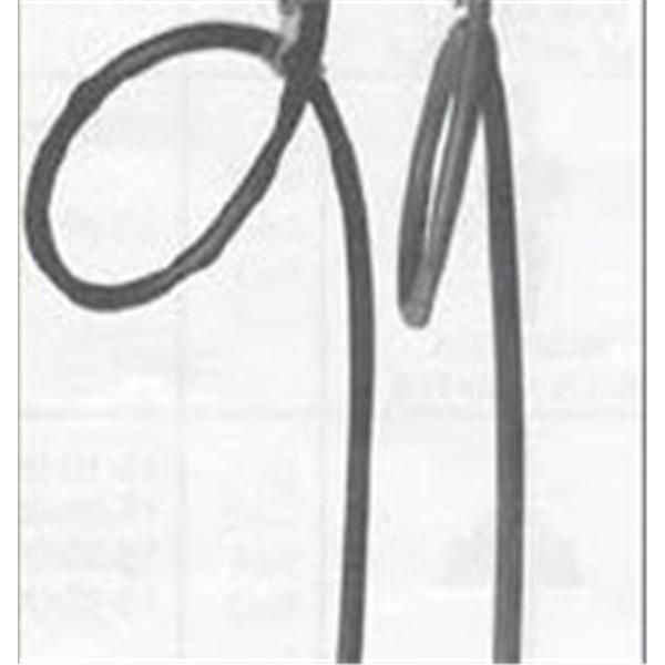 Chemetron Vacuum Hose Each
