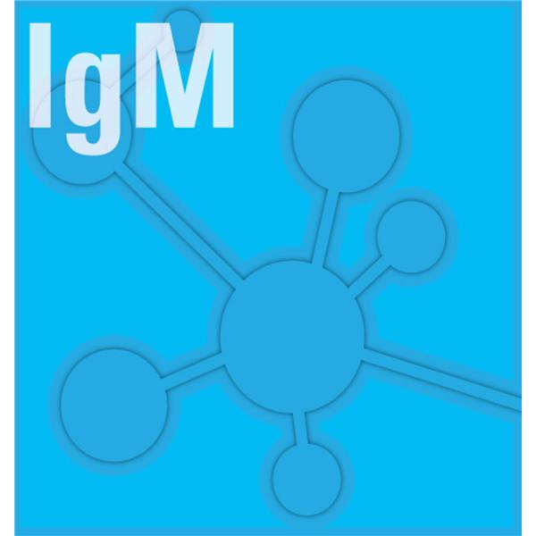 IgM: Immunoglobulin M Test Kit R1:4x20mL/R2:2x10mL 1/Bx