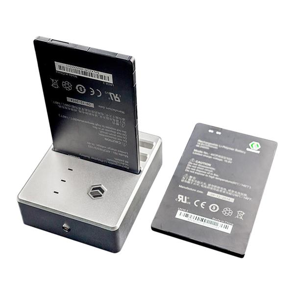 Cesium DR Panel Package Retrofit W/ Tgrvw Software, Hi-Res PC, Wght Brg Cp Ea