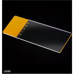 Frosted Microscope Slide 25x75mm Gold 1440/Ca