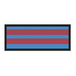 ColorTrack Instrument ID Tape Blue/Red Stripe 8-1/2x11" Disposable Ea