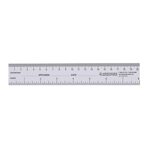 Specimen/ Date Fields Ruler Paper 250/Package