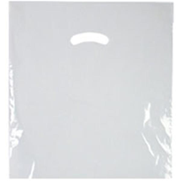 Full Color Bags Die-Cut Handle 9 in x 12 in 1000/Ca