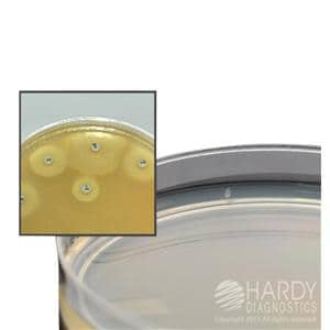 Culture Mueller-Hinton Agar 10/Package