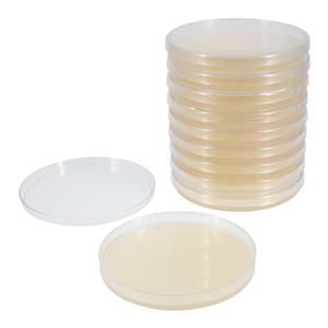 Mueller Hinton Agar Plate 15x150mm 10/Pk