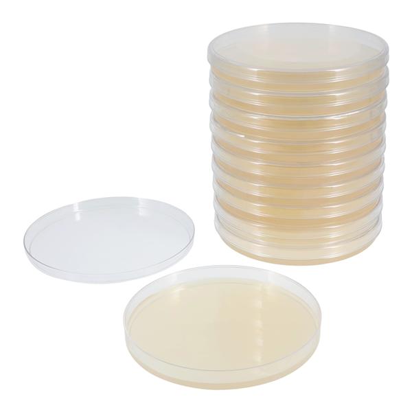 Mueller Hinton Agar Plate 15x150mm 10/Pk