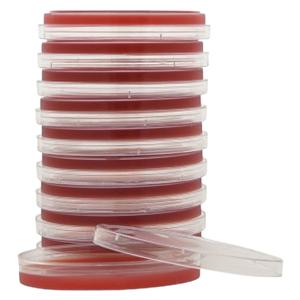 GBS Detect Strep Group B Culture Plate 17mL 15x100mm 10/Package