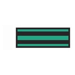 ColorTrack Instrument ID Tape Black/Kelly Green Stripe 8-1/2x11"...
