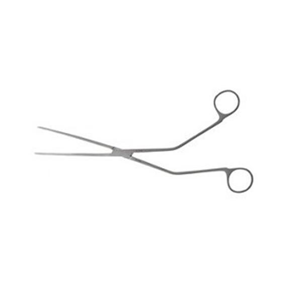 Dissecting Forcep 7-1/2" Ea