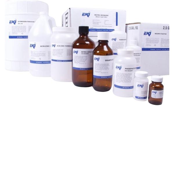Stain Solution Lactophenol Blue 125mL Ea