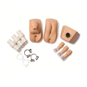 Male/Female Genitalia Kit Manikin Adult With Male & Female Genita...