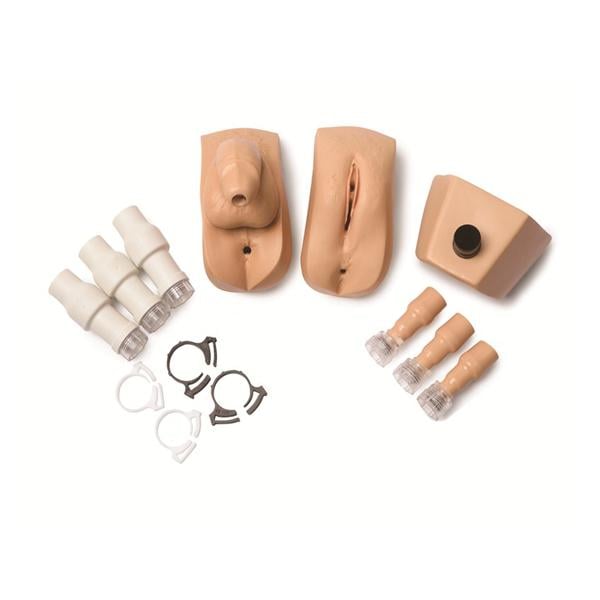 Male/Female Genitalia Kit Manikin Adult With Male & Female Genita...