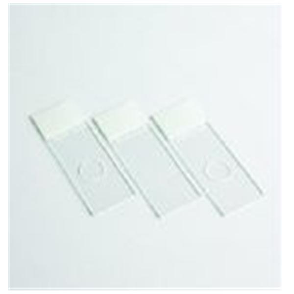 CytoSlide Single Slide 100/Bx