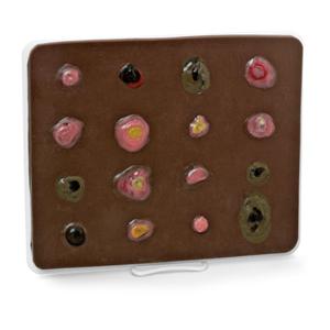 Life/form Enlarged Skin Cancer Educational Trainer 8-1/2x11x1/4"...