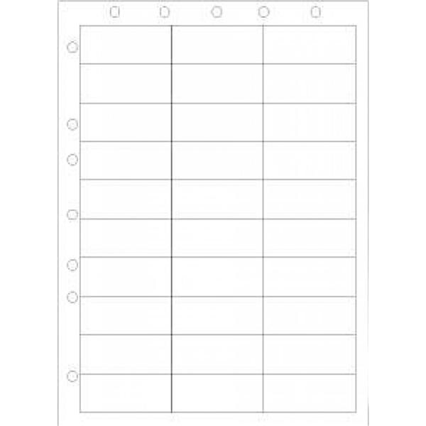 Patient ID/Chart Label 1000/Ca