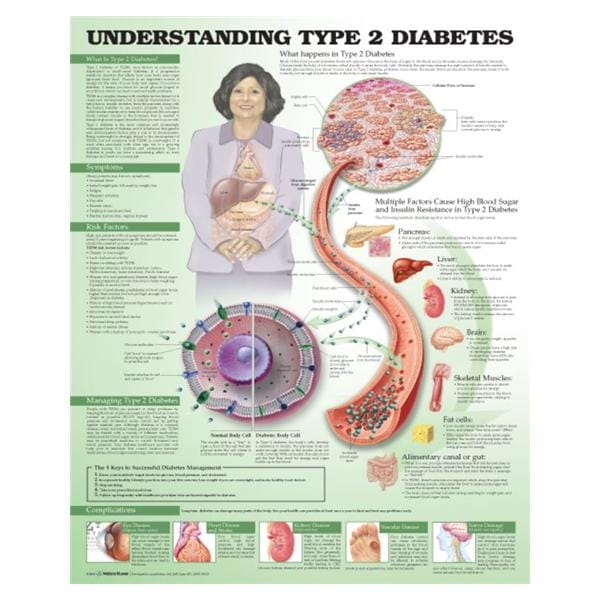 Understanding Type 2 Diabetes Educational Chart 20x26" Each