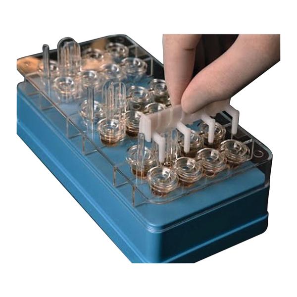 Lincoln Dip-Well Tray For 8-Prong Applicators With Cover Single/2...