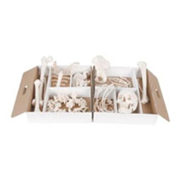 Half Human Disarticulated Skeleton Each