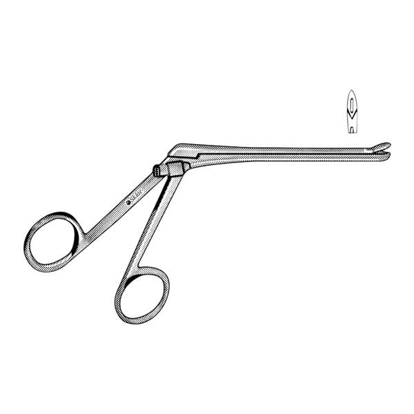 Weil-Blakesley Forcep 4-3/4" Each