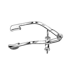 Lancaster Speculum Each