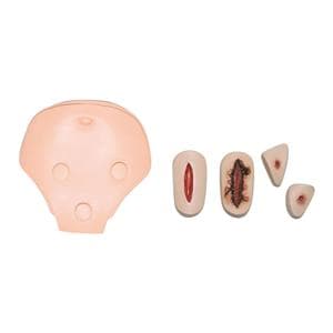 Health Care Catheterization & Enema Trainer In-Service Wounds Adu...