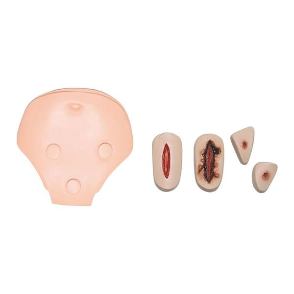 Health Care Catheterization & Enema Trainer In-Service Wounds Adu...